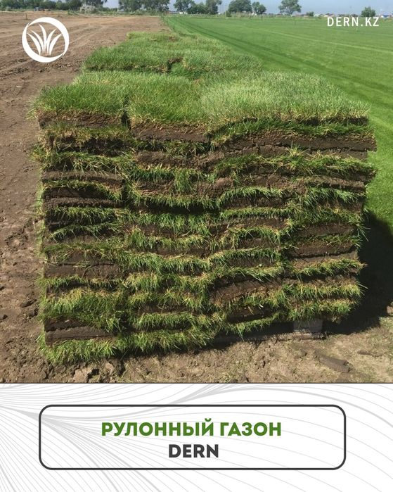 Рулонный газон от производителя с гарантией