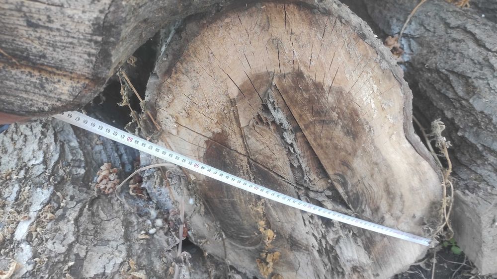 Lemn de nuc material mobilă