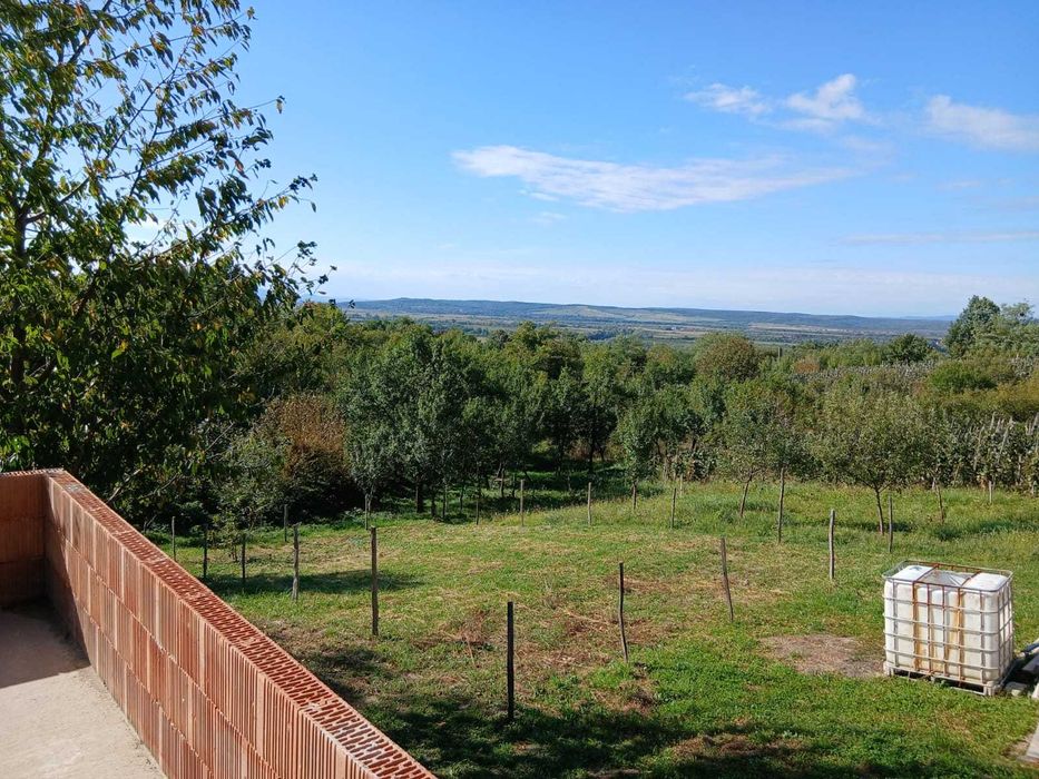 Casa la rosu in Cicarlau