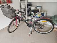 Bicicleta de fete cu cosulet