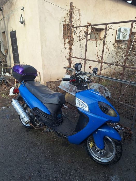 Фриеро ратон 2011