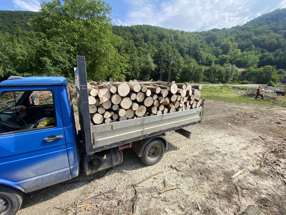 Lemn foc eseata tare