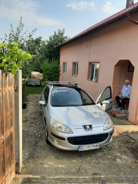 Peugeot 407 break