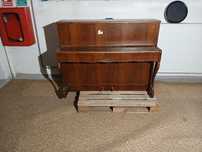 Pianina Willis,Landshut