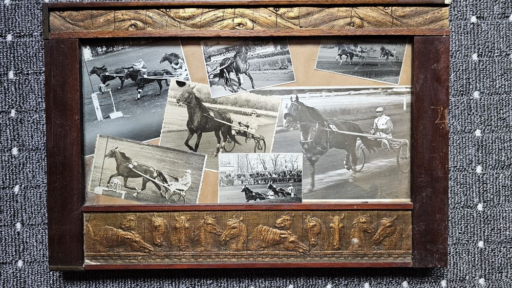 Poze vechi echitație 1959-1960