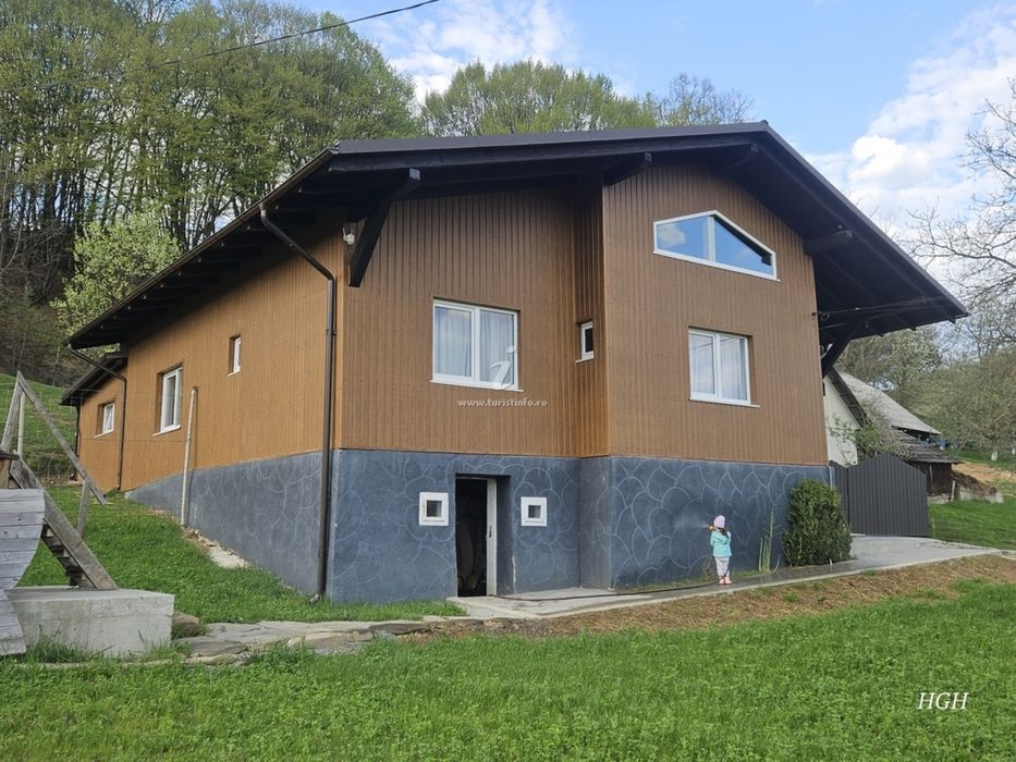 Cabana borsa moisei viseu