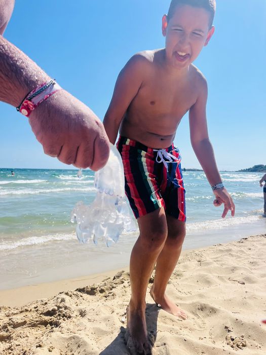 Апартаменти в Панагюрище