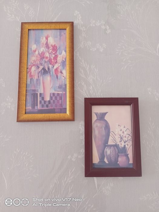 Картинки в рамке за 2шт.-1000тг