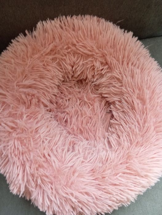 Един лот - Дрешки за куче