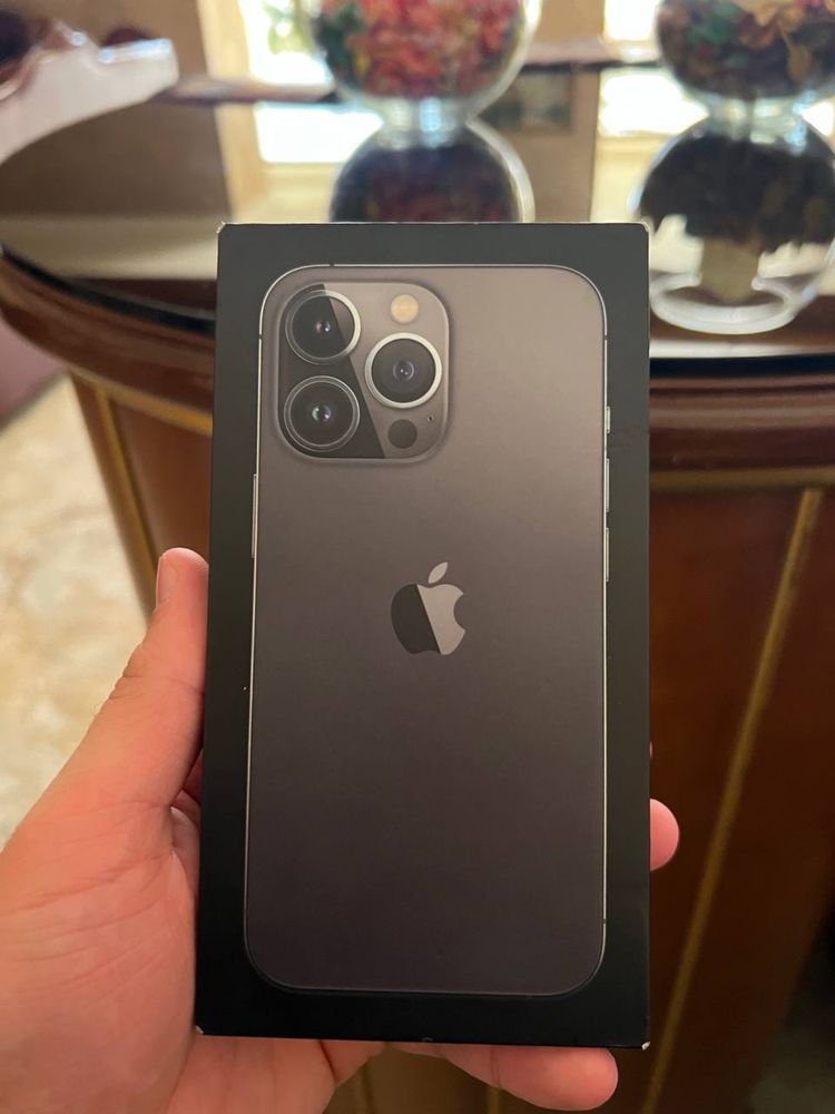 iPhone 13 Pro ( Graphite )
