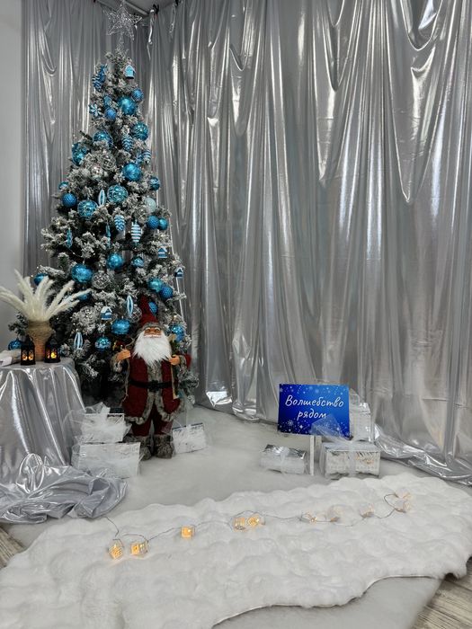 Фотосессия новогодняя