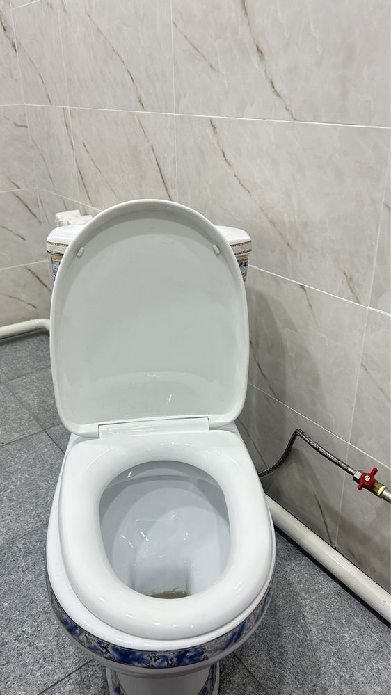 Унитаз (туалет)