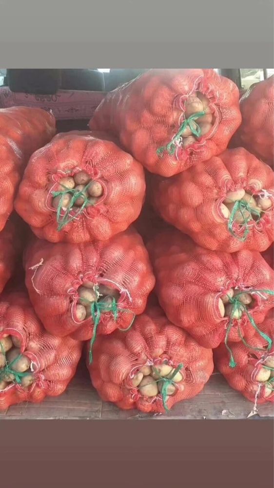 Картофель (Местный) сорт Гала