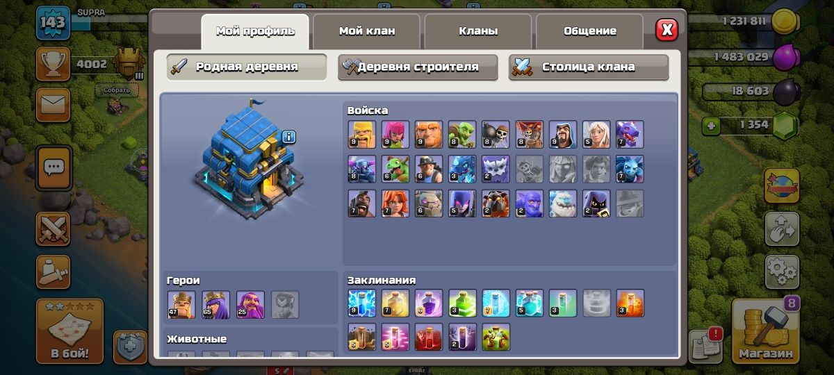 Clash of Clans 12 ратуша + Brawl stars 14500 кубок