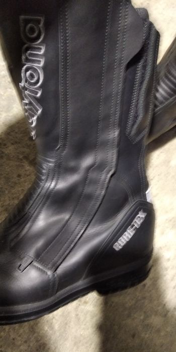 Daytona  lady star gtx