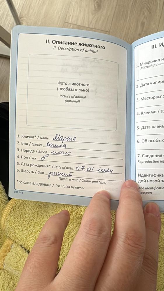 Кот Марсик 1,5 года