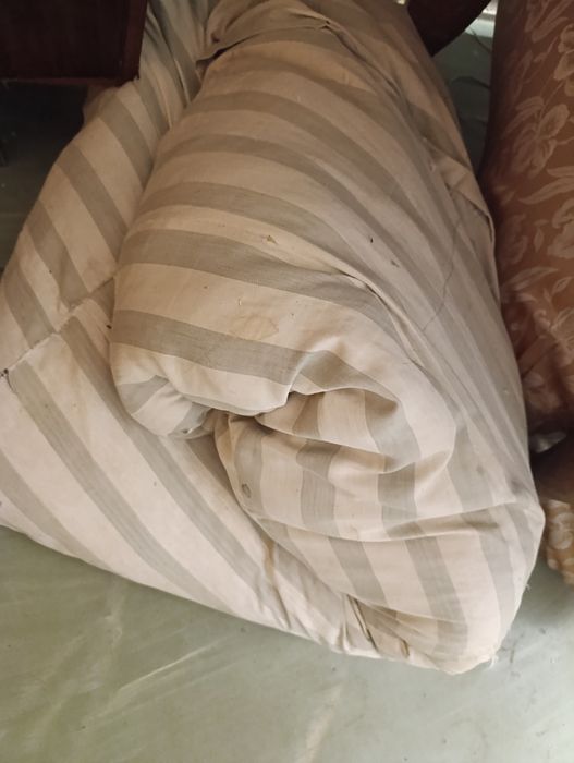 Отдам два матраса перьевой и паролоновый,без вредителей