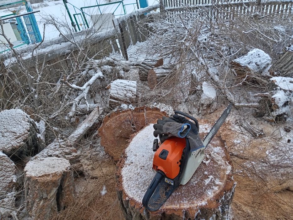 Оказываю услуги бензопилой
