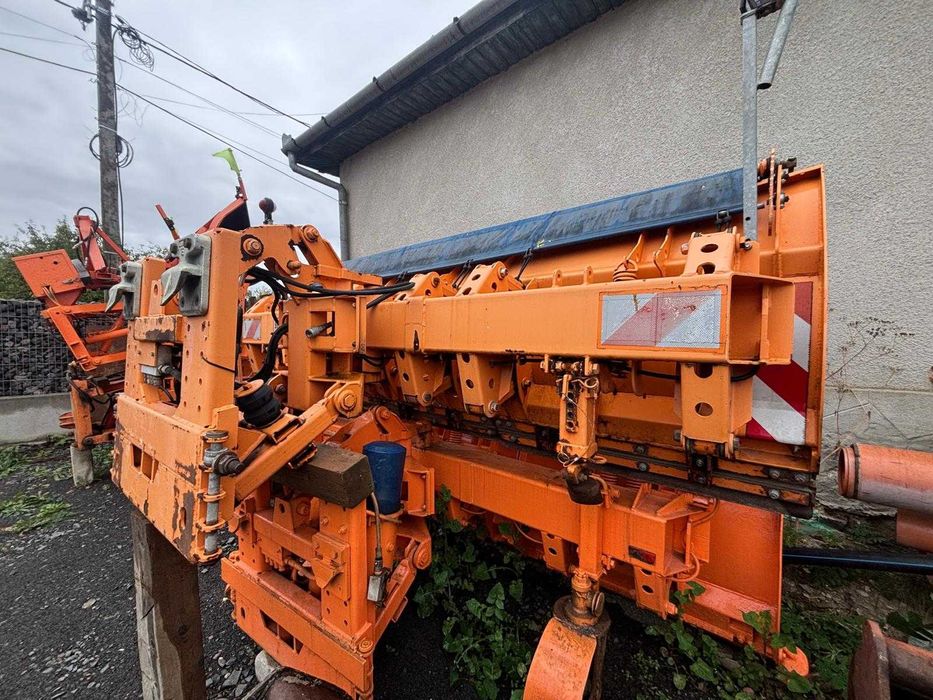 Sărăriță și lamă de zăpadă