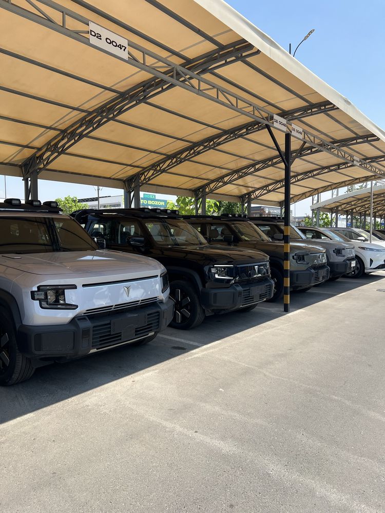 changan depal g 318
