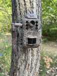 ForestCamLive F6G GPS Temperatura Camera live