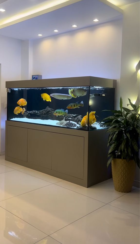 Аквариум на заказ / Akvarium buyurtmaga yashash