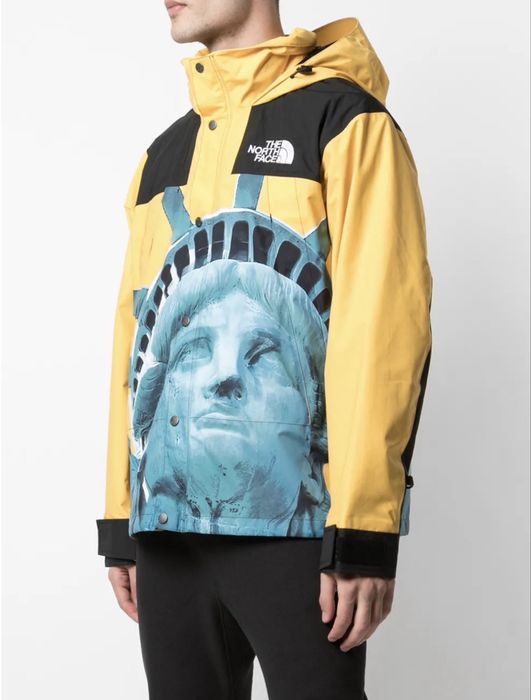 Supreme x The North Face Mountain jacket