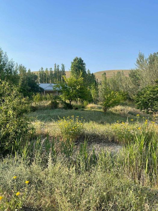 Хозяйство рыбное в Бахмальском районе Джиззакской области