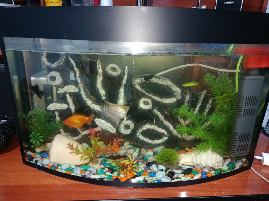 Аквариум сотилади