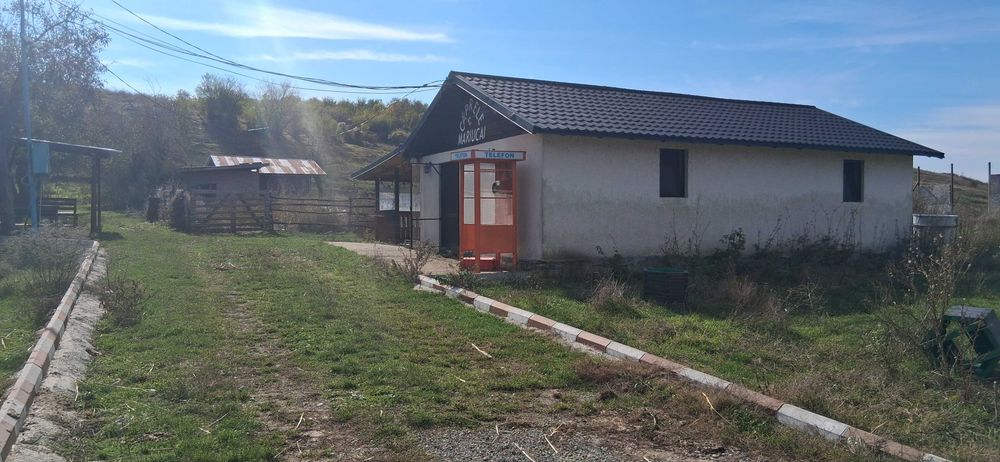 Ferma de vanzare , zona Dambu