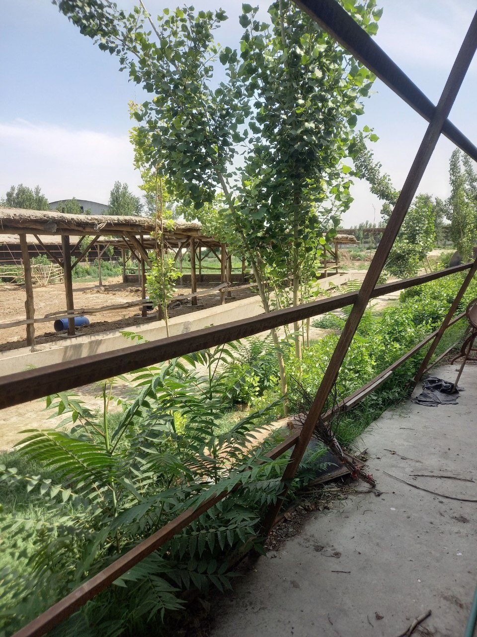 Tayyor molhona sotiladi