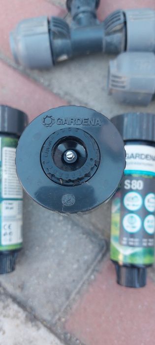 Aspresoare gardena