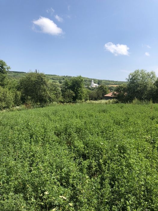 Vand teren intravilan