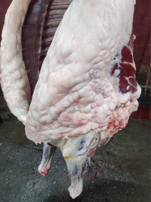 Касапшы мал сою мясник мияса