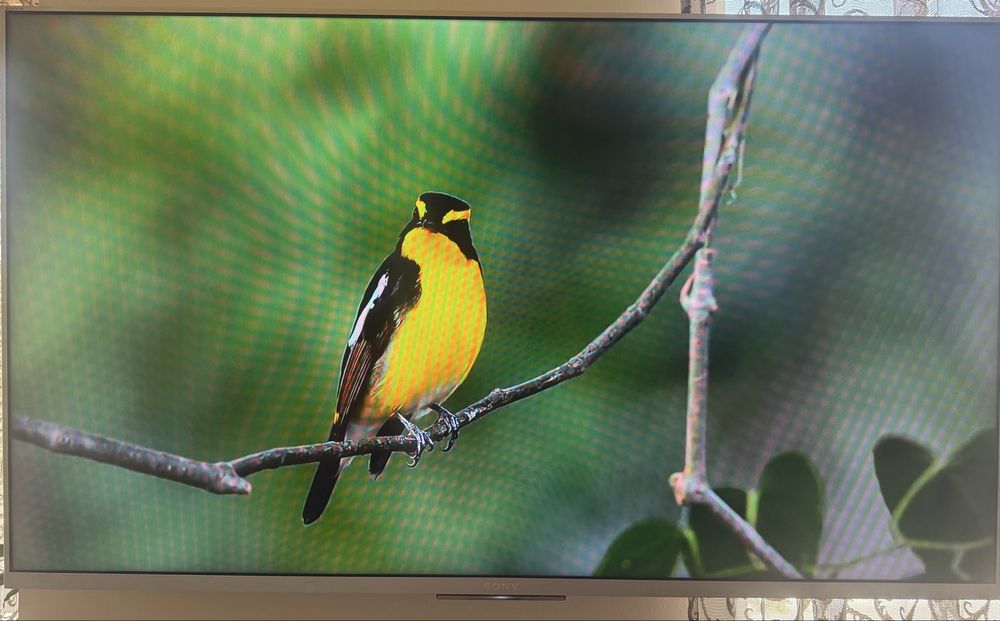 SONY Bravia   KDL