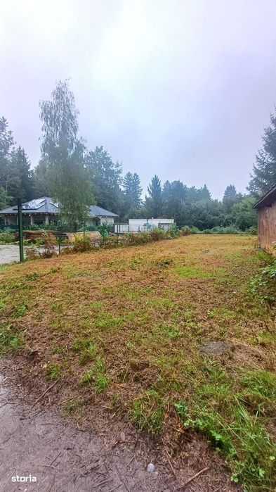 Teren intravilan  la liziera padurii Valea Avrigului