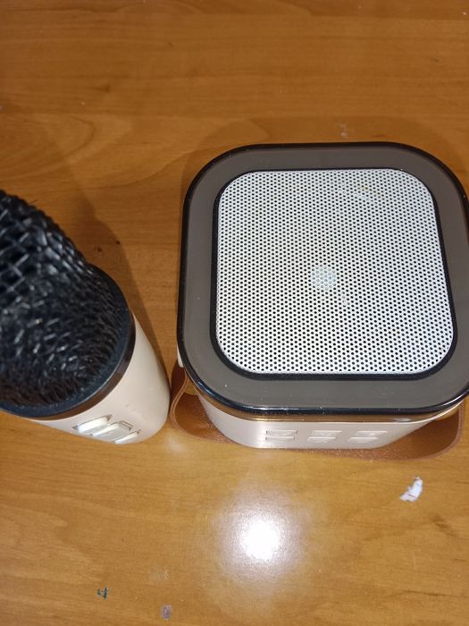 колонка с микрофоном