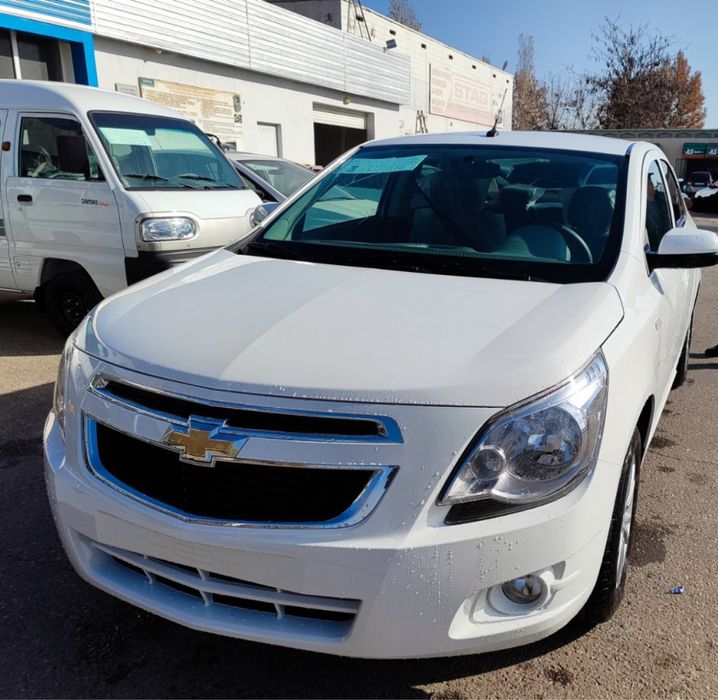 Cobalt 2025 Style avtomat  notarius bonus