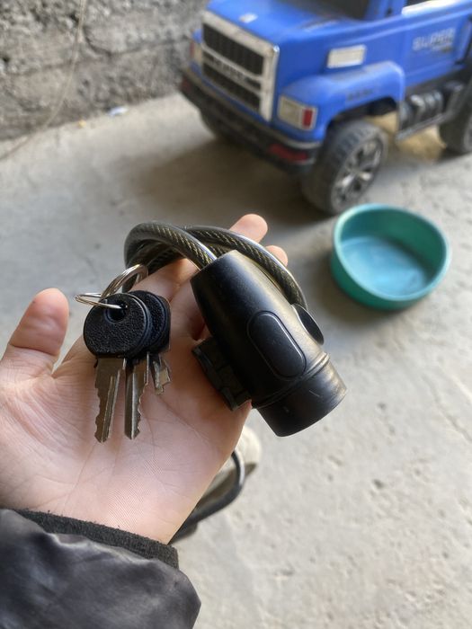 Сабасы өте жақсы құлтайтынымен береміз