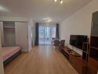 Garsoniera de închiriat. Cluj / Florești. Direct Proprietar / Bloc nou