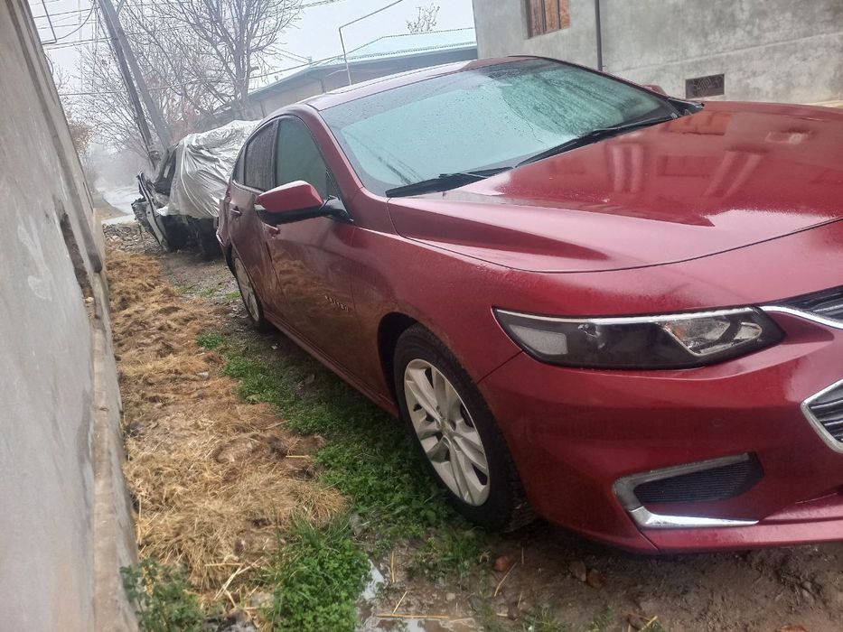 Malibu 2  2.4 srochni narhlada sotladi