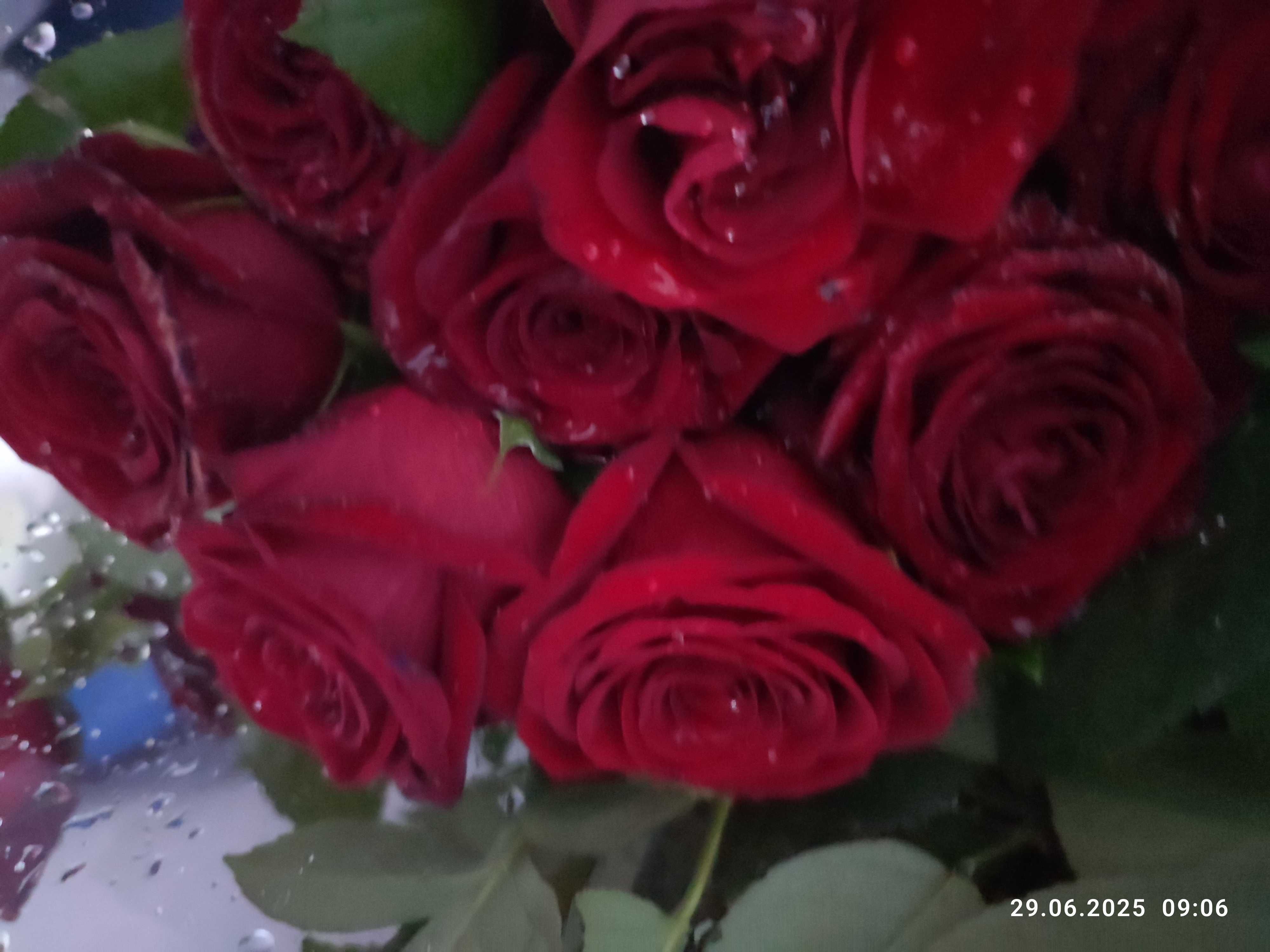 Продам свежий букет, разные