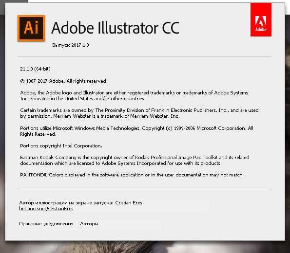 Adobe Illustrator 2023/ Бессрочная активация