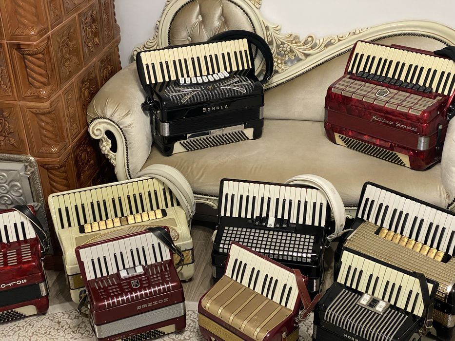 Acordeoane diverse marimi