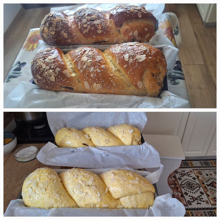 Cozonaci dolofani între 0.900 gr-1.300gr gr