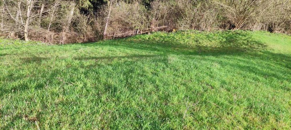 Teren in Campeni, Alba