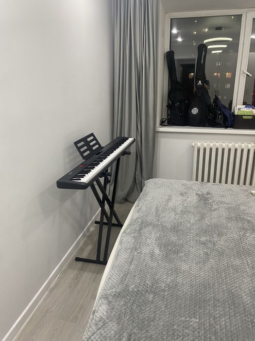 Пионина музыкалный инструмент