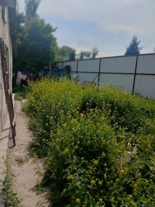 Продаётся срочно участок 4.11 соток