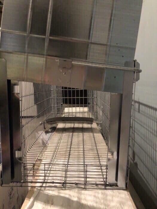 Capcana vulpi suuuuper 3 in 1