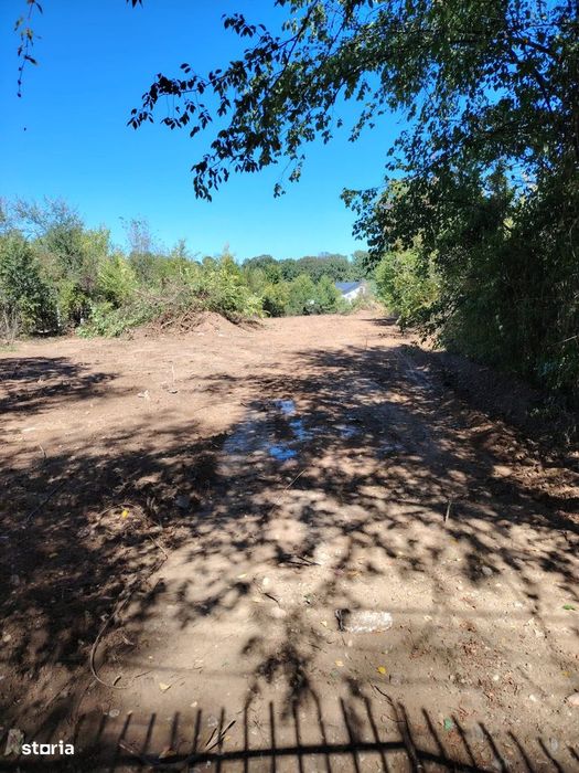 Snagov izvorani lângă Vila de Protocol a Jandarmeriei